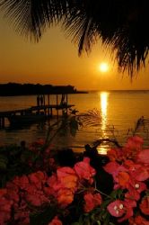 Roatan, Honduras. by Shawn Jackson 